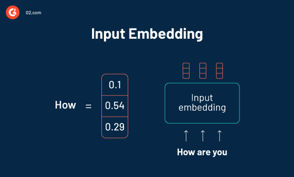 input embedding