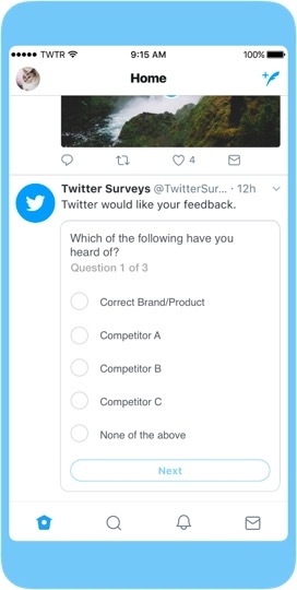 twitter brand surveys